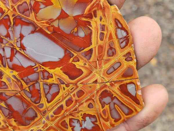 Polished Noreena Jasper slab. NJ447