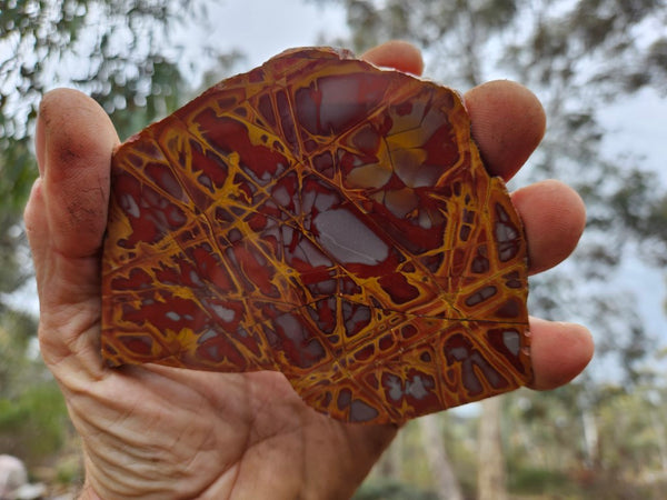 Polished Noreena Jasper slab. NJ447