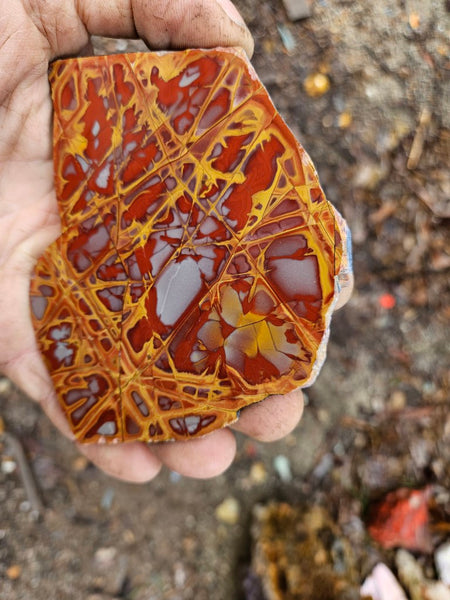 Polished Noreena Jasper slab. NJ447