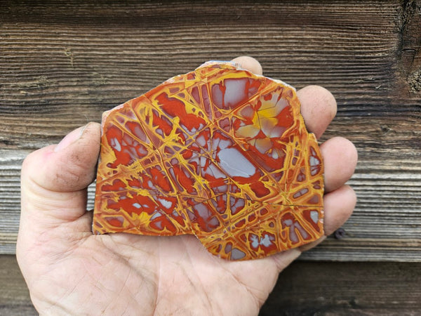 Polished Noreena Jasper slab. NJ447