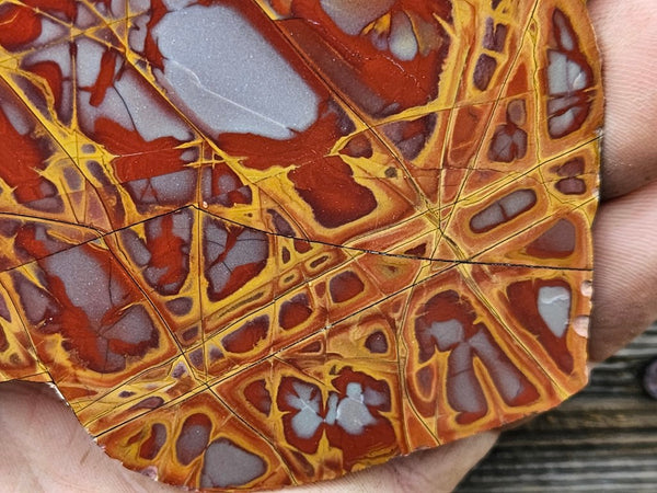 Polished Noreena Jasper slab. NJ447