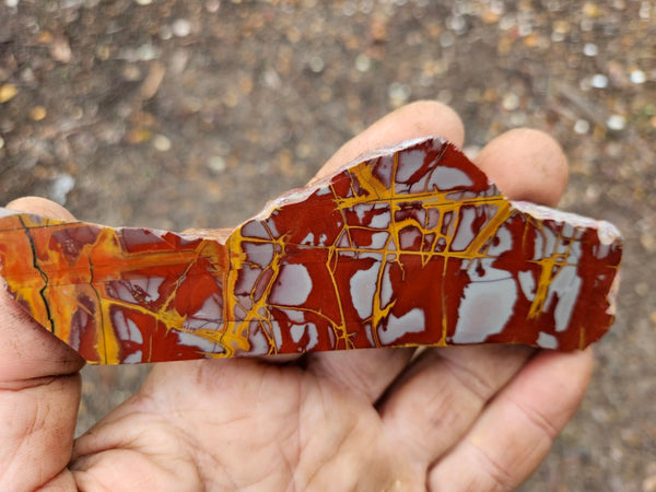 Polished Noreena Jasper slab. NJ446