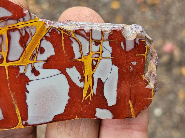 Polished Noreena Jasper slab. NJ446