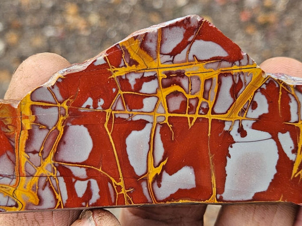 Polished Noreena Jasper slab. NJ446