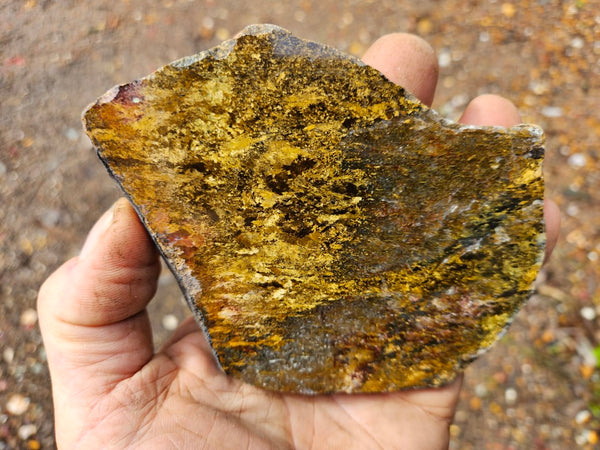 Polished Golden Amphibolite slab GA152