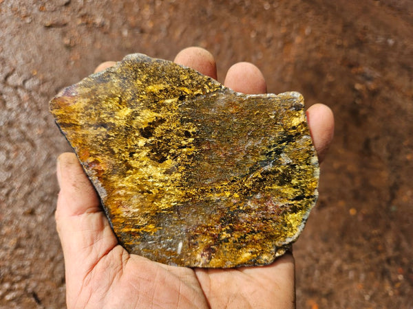 Polished Golden Amphibolite slab GA152