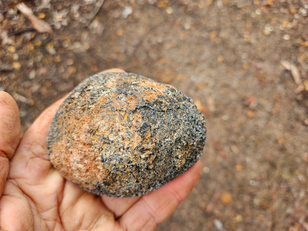 Polished Orbicular Granite. OG183