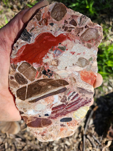 Polished Marillana Conglomerate slab MC111