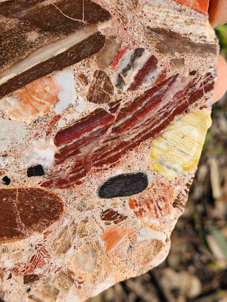 Polished Marillana Conglomerate slab MC111