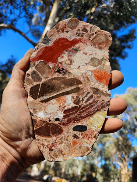 Polished Marillana Conglomerate slab MC111