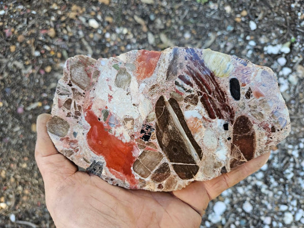 Polished Marillana Conglomerate slab MC111