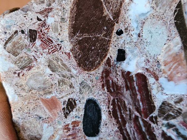 Polished Marillana Conglomerate slab MC111