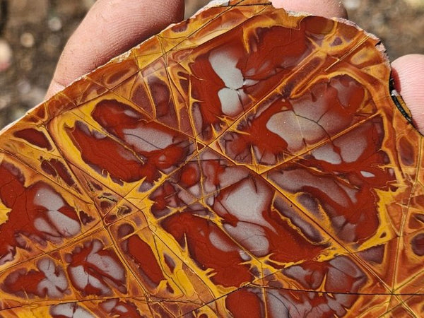 Polished Noreena Jasper slab. NJ450