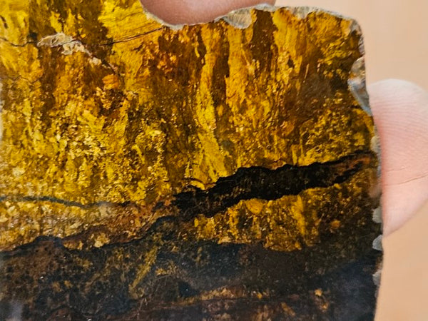 Polished Golden Amphibolite slab GA153