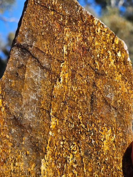 Polished Golden Amphibolite slab GA156