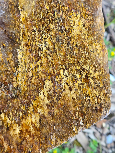 Polished Golden Amphibolite slab GA156