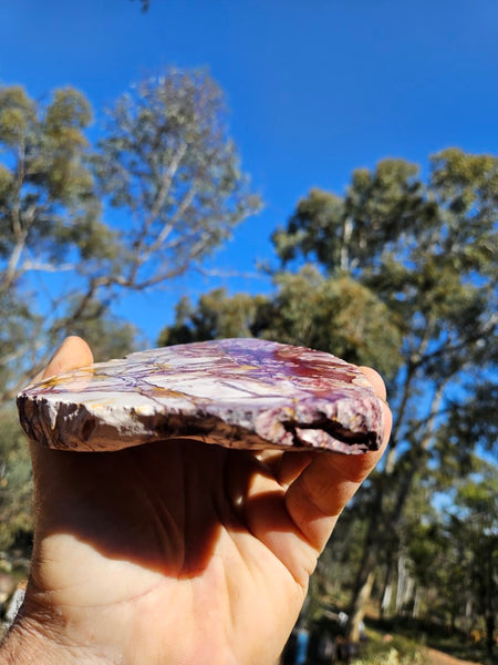 Polished Mookaite slab MK412