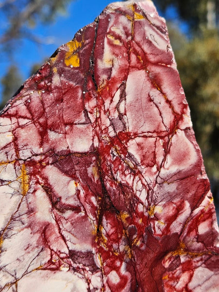 Polished Mookaite slab MK412