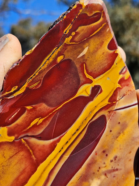 Polished Mookaite slab MK411