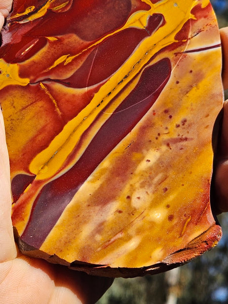 Polished Mookaite slab MK411