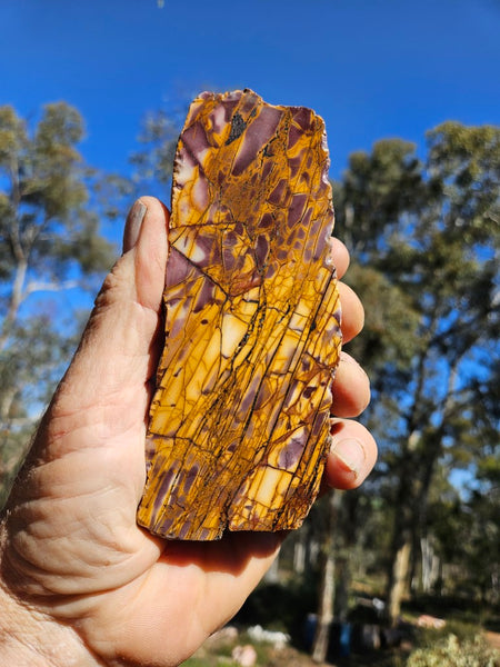 Polished Mookaite slab MK413