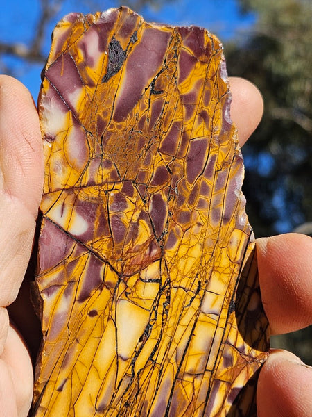 Polished Mookaite slab MK413