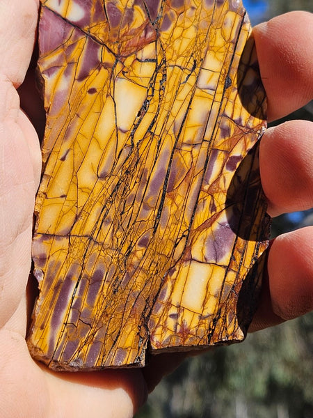 Polished Mookaite slab MK413