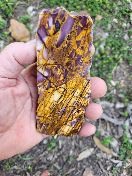 Polished Mookaite slab MK413