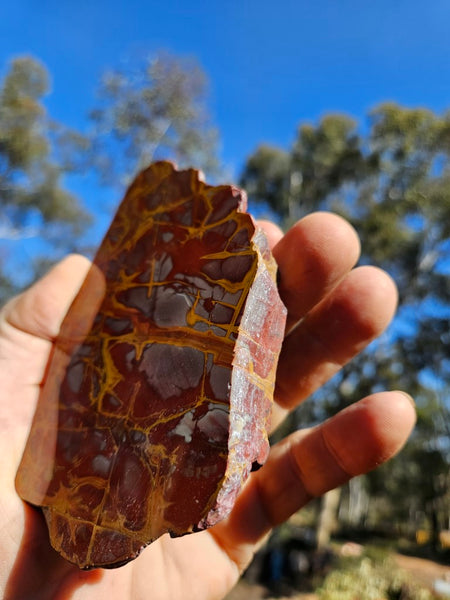 Polished Noreena Jasper slab. NJ451