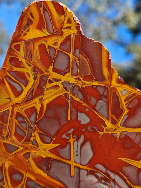 Polished Noreena Jasper slab. NJ451