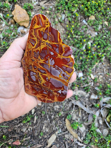 Polished Noreena Jasper slab. NJ451