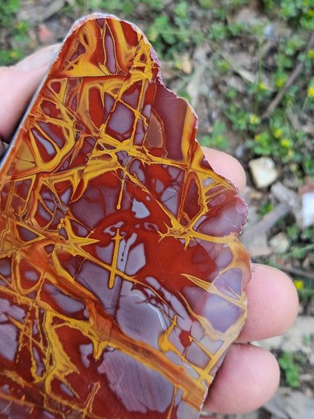 Polished Noreena Jasper slab. NJ451