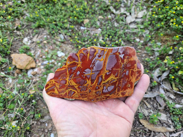 Polished Noreena Jasper slab. NJ451