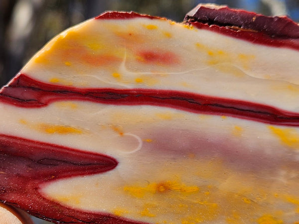 Polished Mookaite slab MK417