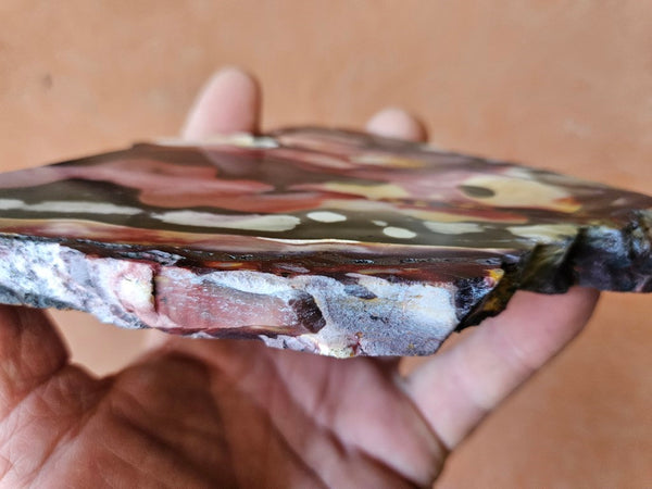 Polished Mookaite slab MK419