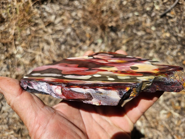 Polished Mookaite slab MK419