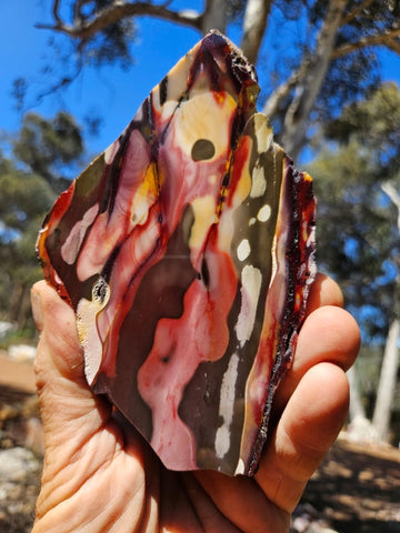 Polished Mookaite slab MK419