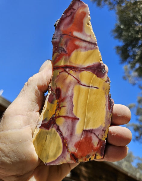 Polished Mookaite slab MK423