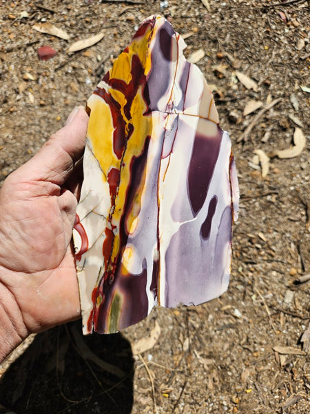 Polished Mookaite slab MK424