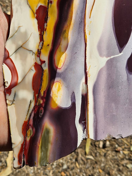 Polished Mookaite slab MK424