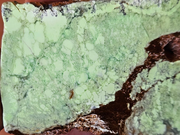 Polished Magnesite slab. MAP184