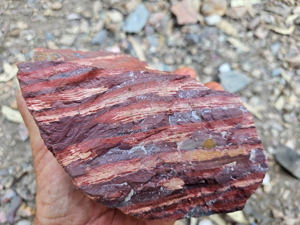 Snakeskin Jasper rough.  SSR 148