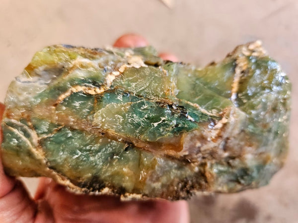 Green Opal  rough.  GOR 123