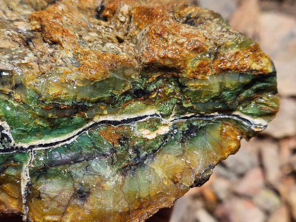 Green Opal  rough.  GOR 124