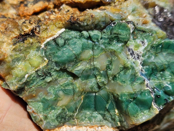 Green Opal  rough.  GOR 125