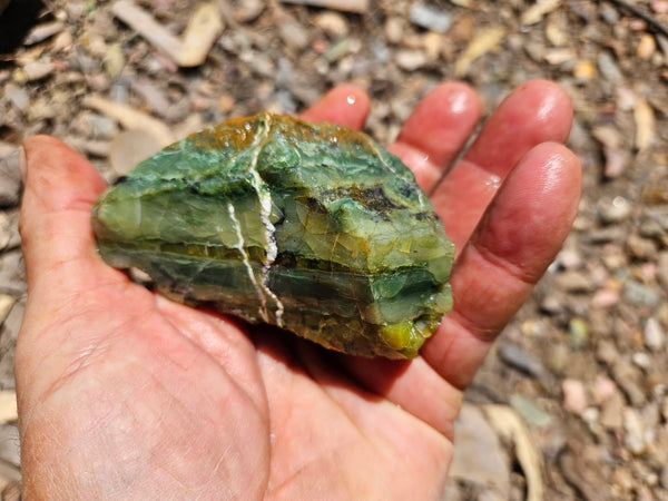 Green Opal  rough.  GOR 127