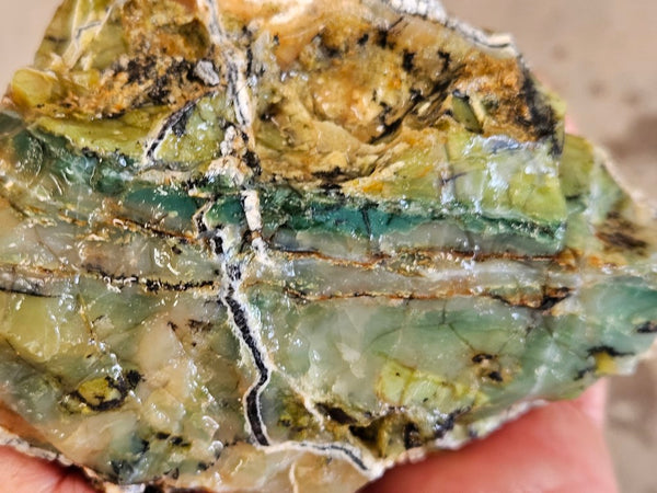 Green Opal  rough.  GOR 126