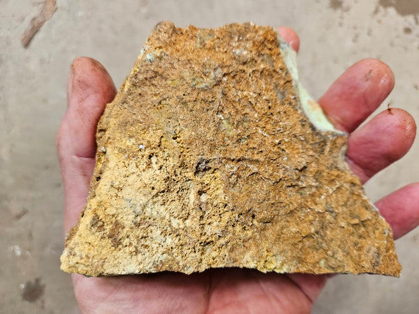 Lime magnesite rough. LMR 113 – GemstoneGeeks.