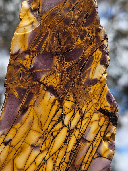 Polished Mookaite slab MK432