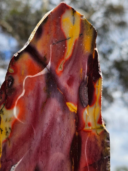 Polished Mookaite slab MK428